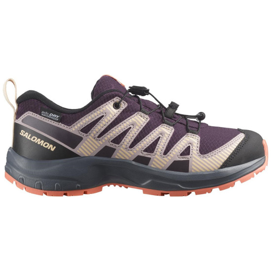 Salomon XA PRO V8 WP J
